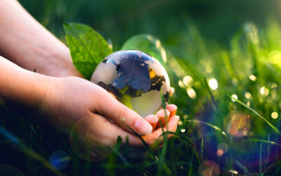 L’importanza dell’adattamento ai cambiamenti climatici