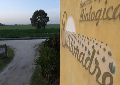 Azienda Agricola Biologica Caramadre