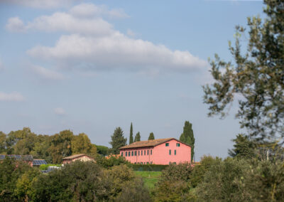 Azienda Agricola Biologica Boccea Solaria