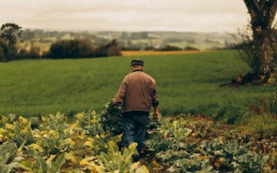 I doveri dell’uomo (nei confronti della natura e dell’ambiente)