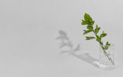 Minimalismo: vivere con meno per vivere meglio
