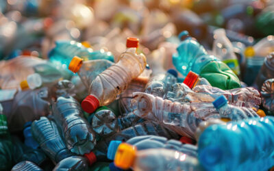 Il mito del riciclo infinito: il caso della plastica